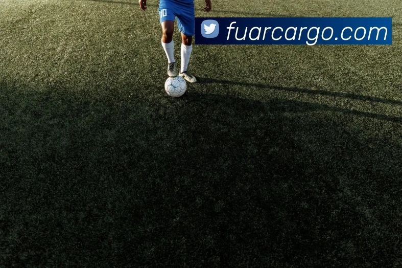 App Interface Preview